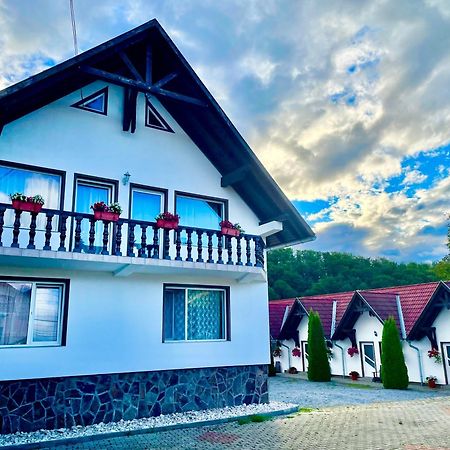 Hotel Casa Flamingo Sovata Exteriér fotografie